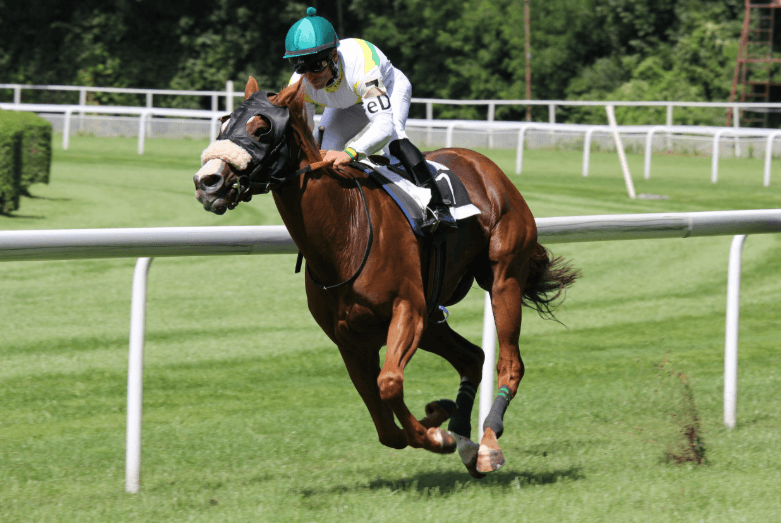 The Psychology of Horse Racing Fans: What Drives the Passion for the Sport?